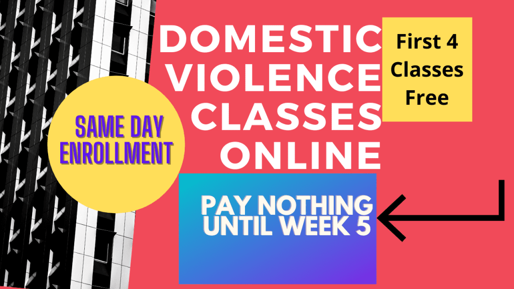 Domestic Violence Classes Online red